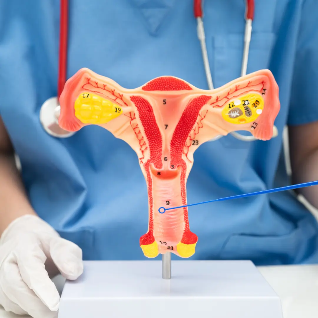 Vaginal Infection: Types, Symptoms, Causes & Effective Treatment